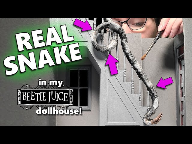 I used REAL SNAKE 🐍 for my Dollhouse Stairs!👀 (Beetlejuice Dollhouse)