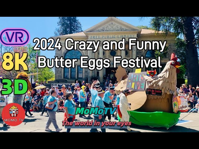 【360° VR】2024 Butter & Eggs Days Parade and Festival in Petaluma -8K 3D 360 VR Video #insta360x4
