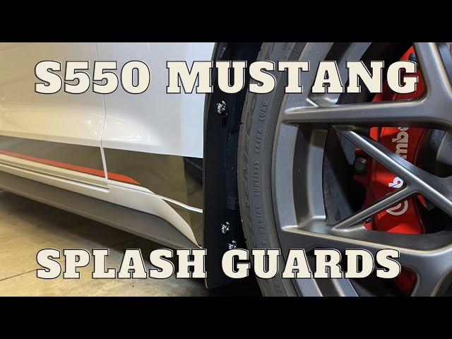 S550 Mustang This should be 1st line of paint protection