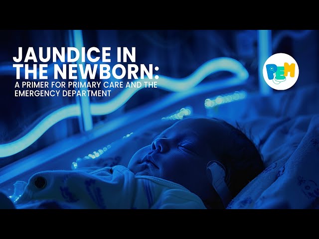 PEM Building Blocks Webinar: Jaundice in the Newborn