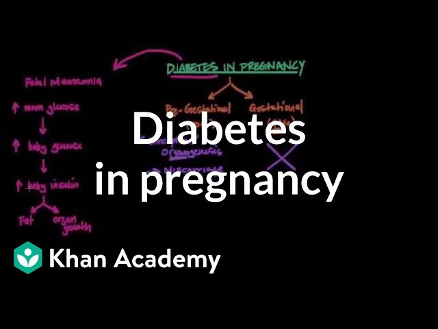 Diabetes in pregnancy | Reproductive system physiology | NCLEX-RN | Khan Academy