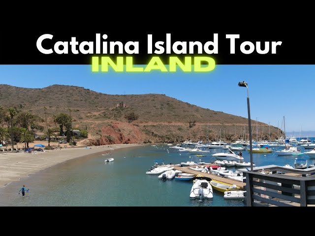 Catalina Island - Inland Tour and Return to the Mainland
