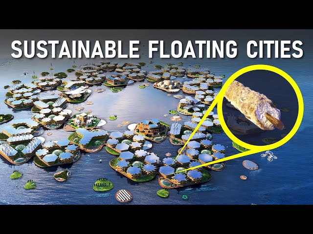 Can Floating Cities save us from Rising Sea Levels?