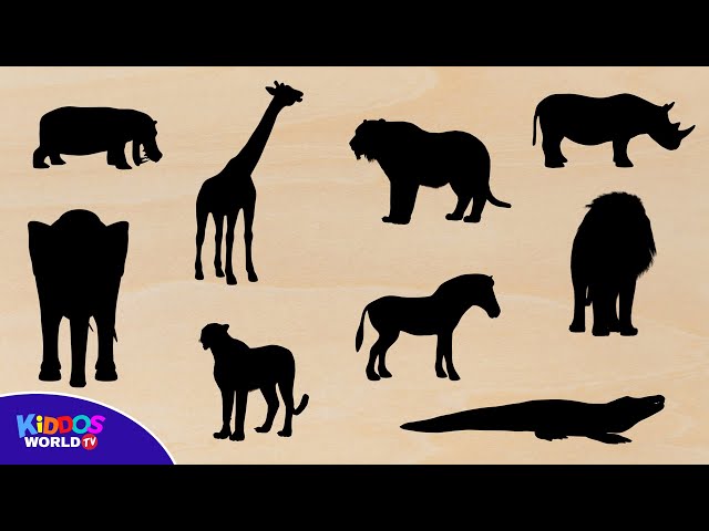Learn Wild Animal Names and Animal Videos for Kids - Safari Animal Puzzle