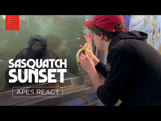 Apes' Sasquatch Sunset Trailer Reaction