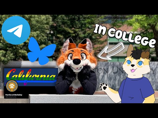 How to Furry While In College!