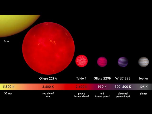 Sizes of Stars and Sub-Stellar Objects: From Brown Dwarf to Red Hypergiant