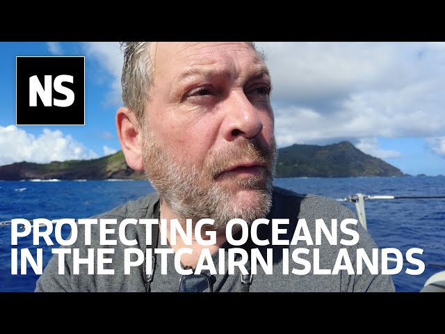 Pitcairn Islands lead UK's ocean conservation efforts