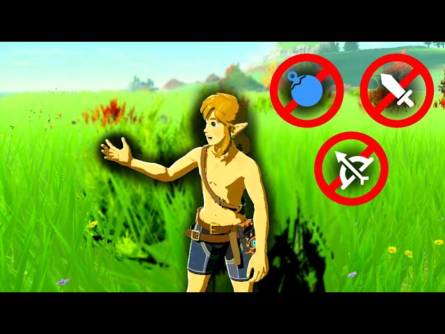 Can I beat Breath of the Wild WITHOUT WEAPONS?