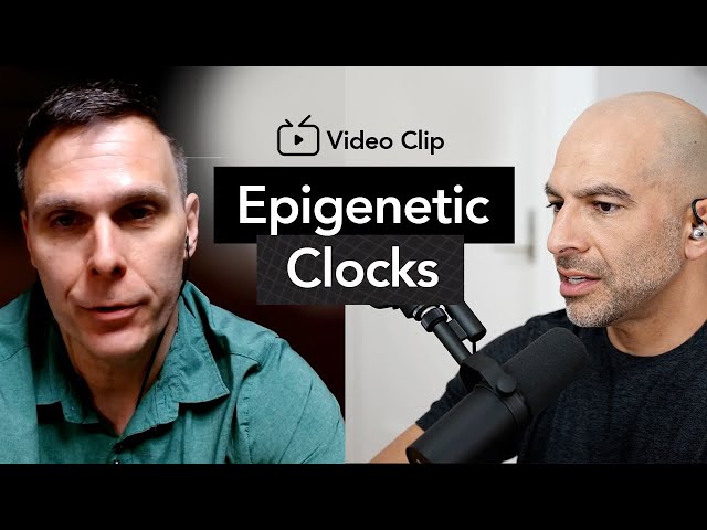 What are epigenetic clocks and do they work? | Peter Attia, M.D. & Matt Kaeberlein, Ph.D.