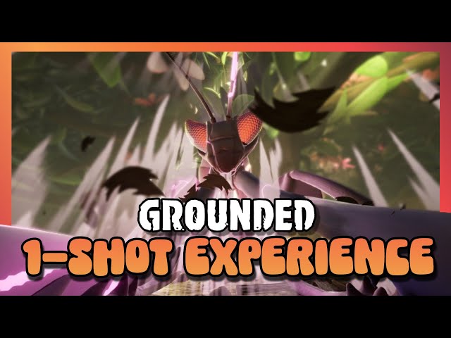 The Grounded 1-Shot Experience!