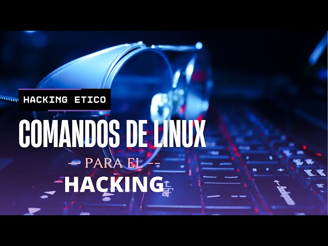 Aprende a usar la terminal de Kali Linux en menos de 7 minutos #hacking