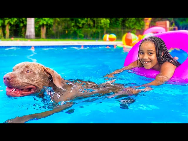 Dog SAVES GIRL IN THE POOL, What Happens Is SHOCKING | FamousTubeFamily