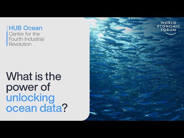 C4IR | Impact On The Ground | How ocean data is catalysing carbon-free shipping