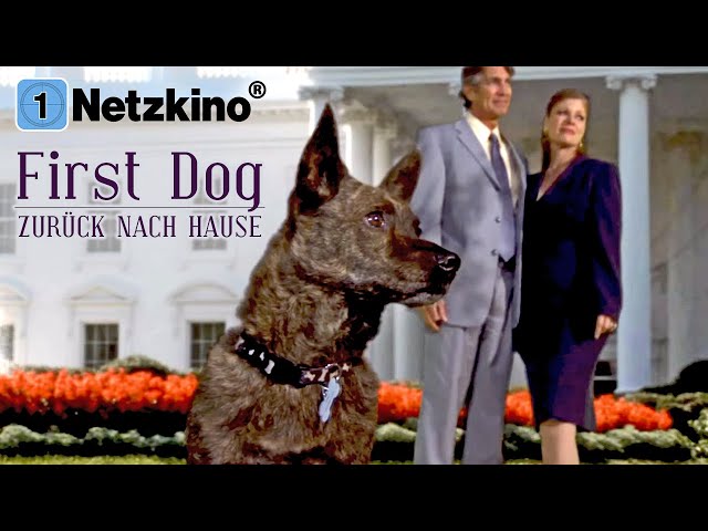 First Dog – Zurück nach Hause (Familienfilm ganz auf Deutsch anschauen, komplette Komödie) *HD*