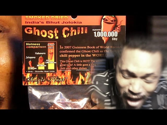 GHOST PEPPER CHALLENGE [WORST MISTAKE OF MY LIFE] | 600,000 Subscriber Special