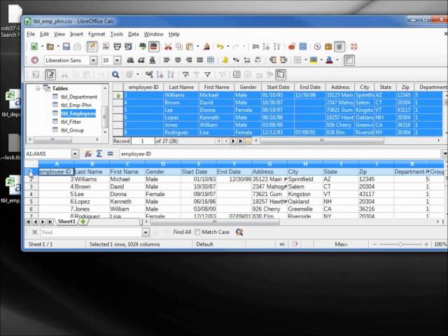LibreOffice Base (89) Create CSV files
