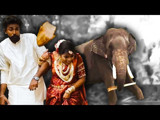 Elephant Ruins Wedding Photoshoot