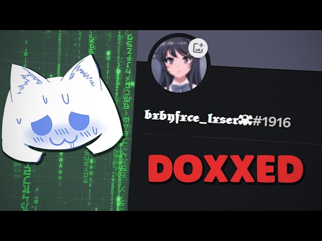 Fake E-Girl Gets DOXXED in Discord