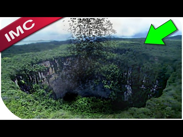 The Most Unexplained And Creepy Videos Caught In The Woods
