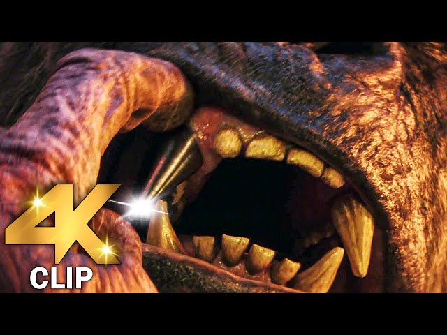 Kong Gets A New Steel Tooth Scene | GODZILLA X KONG THE NEW EMPIRE (2024) Movie CLIP 4K