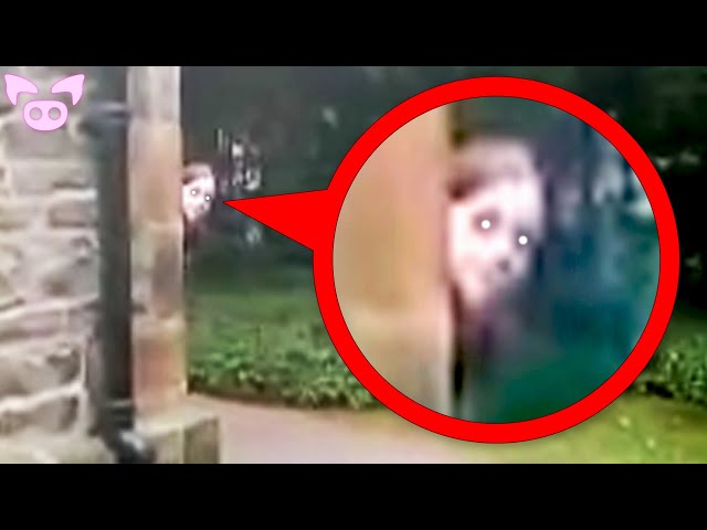 The Scariest Ghost Videos to Watch While Stuck Inside