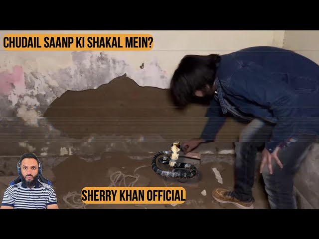 Chudail Saanp Ki Shakal Mein - Sherry Khan Official - REACTION || Review
