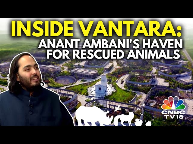 Inside Anant Ambani's Vantara | Reliance Foundation's Animal Rescue & Care Facility | N18V