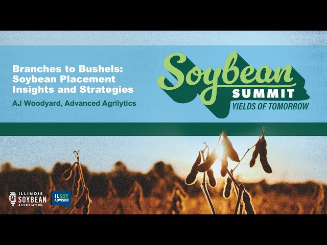 Branches to Bushels: Soybean Placement Insights and Strategies