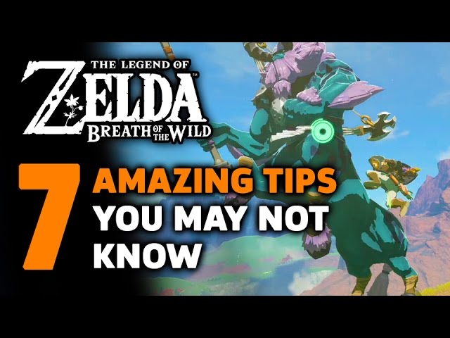 7 More Amazing Things I Wish I Knew In Zelda: Breath Of The Wild