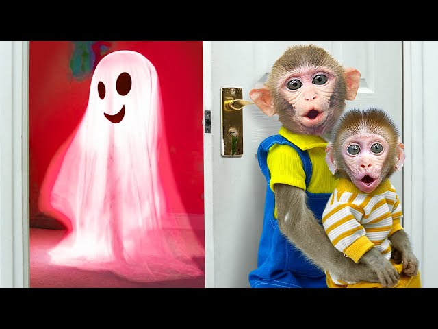 KiKi Monkey and baby face with challenge Knock Knock, Who's At The Door | KUDO ANIMAL KIKI