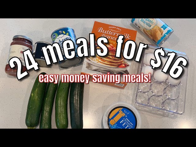 24 Meals For $16 |  Simple Ingredient Budget Friendly Vegetarian Meals | Eat Healthy For Cheap