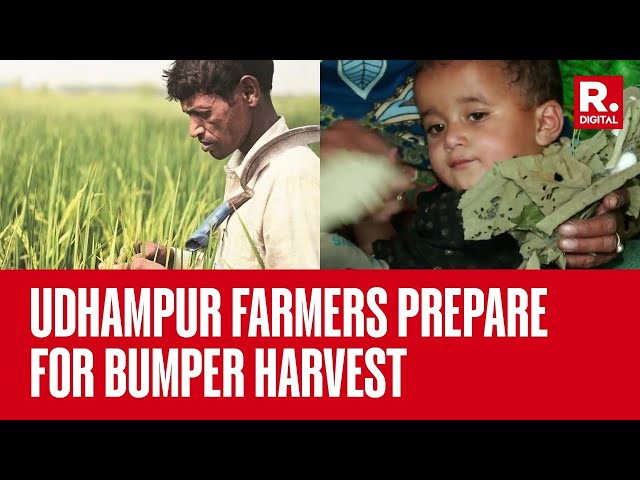 Udhampur's Sericulture Farmers Gear Up for Lucrative Season Amid Anticipated Bumper Harvest