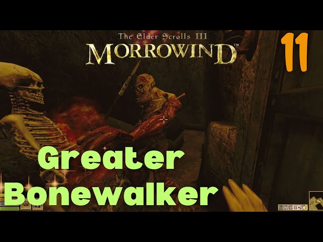 Let's Play Morrowind #11 - Facing a Mortal Enemy! | Pure Mage Explorer