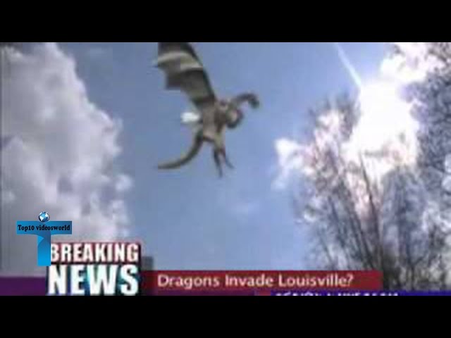 Top 10 Most Mysterious Dragon Sightings Caught on Tape
