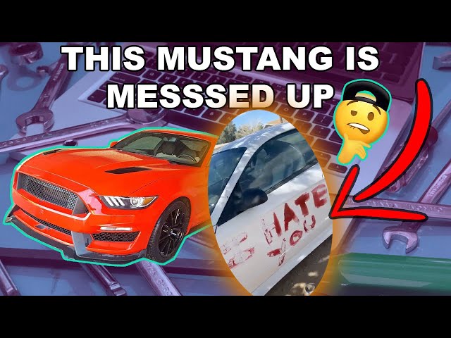 Mustang GT350 for Cheap or Trash??? - Mustang Car Fails and Ricers from Facebook Marketplace