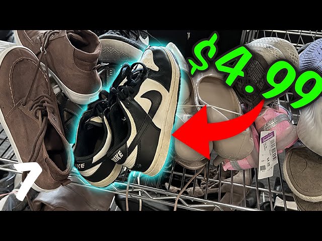 DUNKS for $5?! $20 SNEAKER Collection Ep. 7