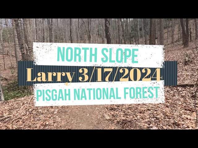 Pisgah National Forest - North Slope 3-17-2024  Larry Byrnes
