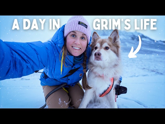 Grim's DAILY LIFE on an island close to the North Pole︱*how I got him, baby photos, diet︱Svalbard