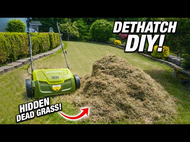 How To DETHATCH Your Lawn! CHEAP DIY Spring Lawn Care!