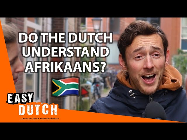 Do the Dutch Understand Afrikaans? | Easy Dutch 62