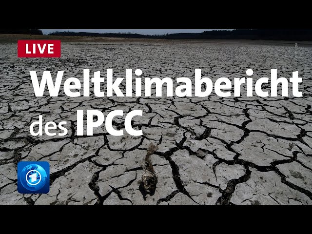 Stand der Erderwärmung - UN-Weltklimarat IPCC legt neuen Bericht vor