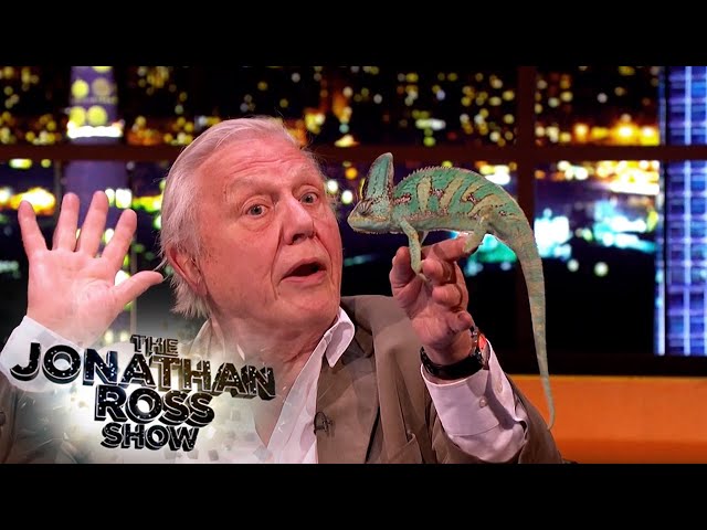 Sir David Attenborough Aimed His Tame Chameleon At Flies | The Jonathan Ross Show