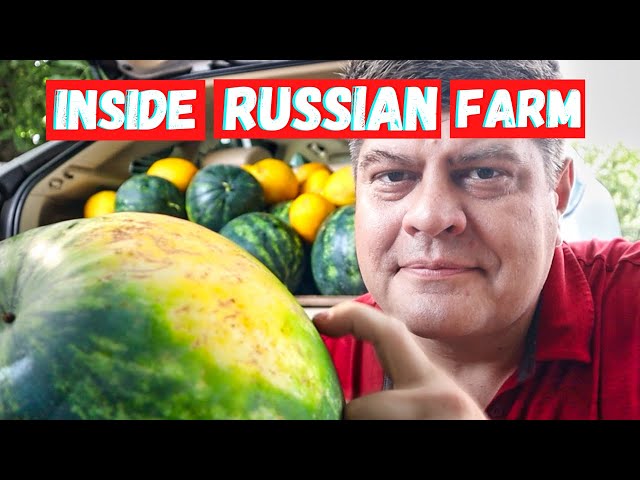 Inside Russian Farm