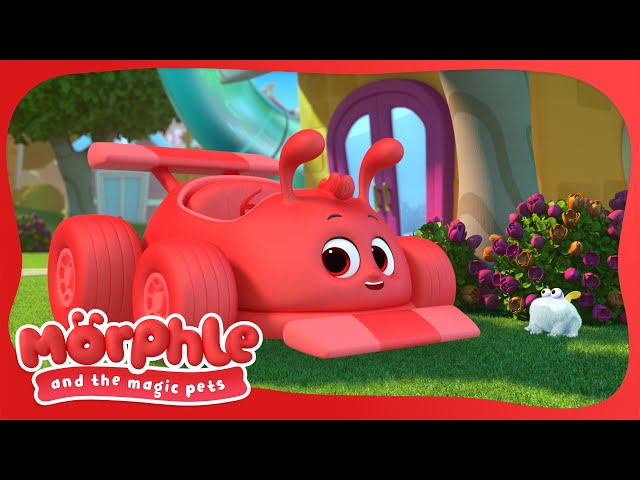 The Magic Frog 🐸 Morphle and the Magic Pets | Available on Disney+ and Disney Jr #morphle