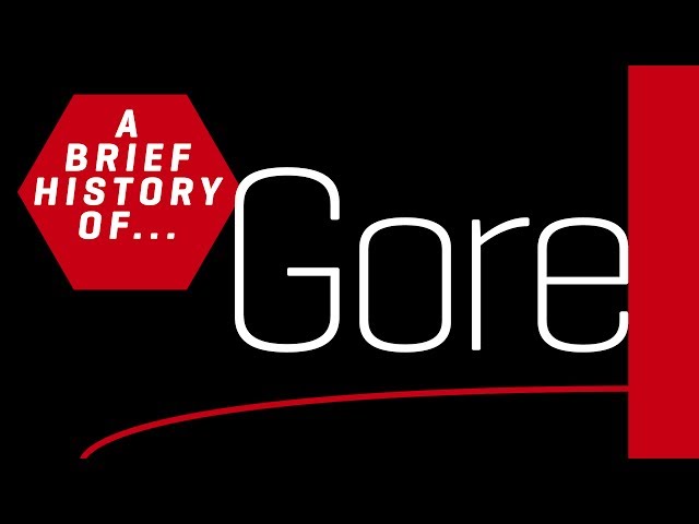 A Brief History of Gore