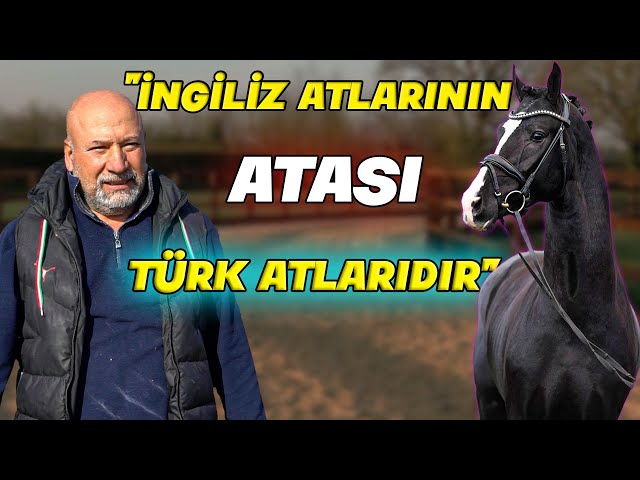 "Arap Atı Yetiştiriciliğinin Merkezi URFA SURUÇ'tur" - Haldun Coşkun At Çiftliği