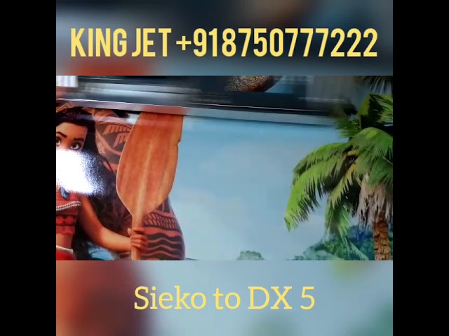 Crystal jet printer  convert sieko to DX 5