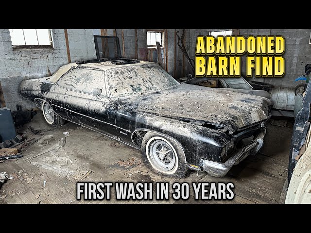 First Wash in 30 Years: Barn Find Centurion! | Car Detailing Restoration