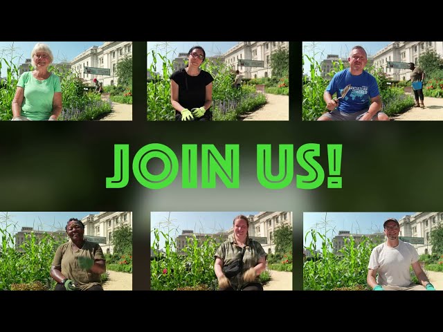 The USDA People's Garden Invites Community Gardens to Join Us!